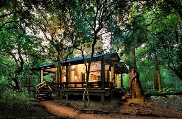 &Beyond Phinda Forest Lodge room suite exterior view