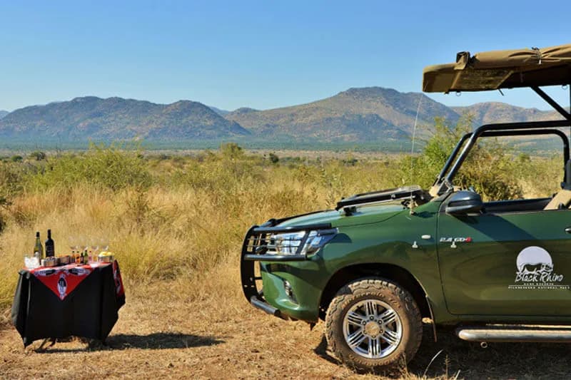 Safari experience at Black Rhino Game Lodge
