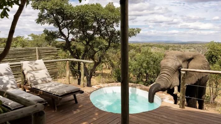 Elephant at waterhole at Elephants Crossing Lodge