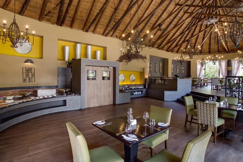 Dining experience at Ivory Tree Game Lodge