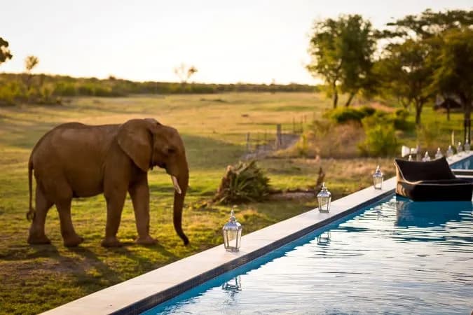 Elephant pool at Jamala Madikwe Royal Safari Lodge