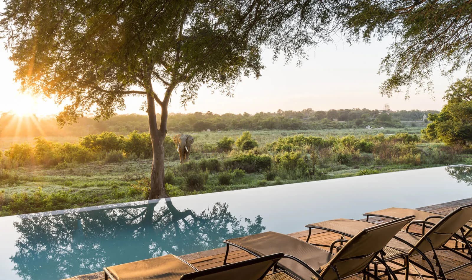 Kruger Gate Hotel banner