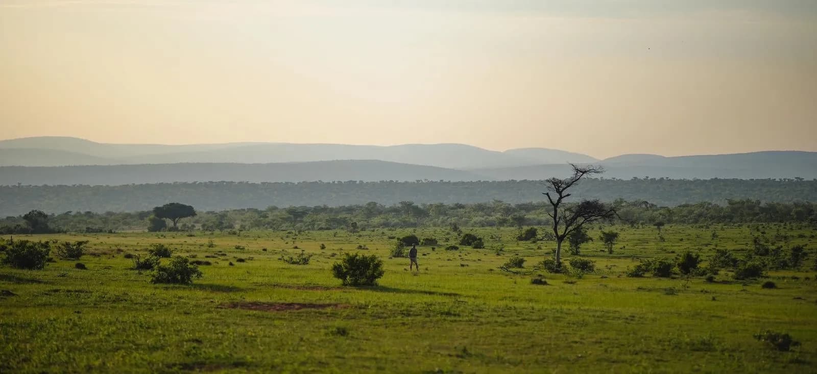 Laluka Safari Lodge landscape view