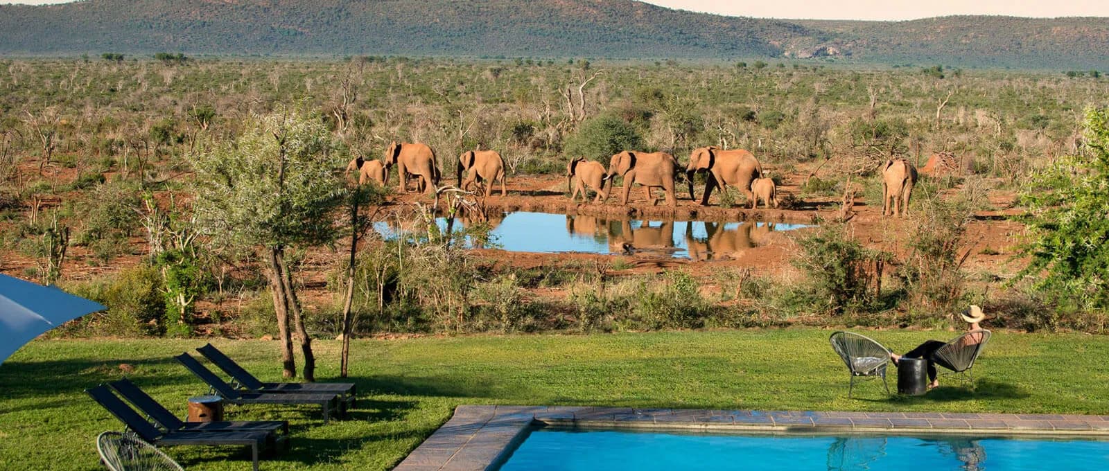 Pool at Madikwe Safari Lodge Lelapa