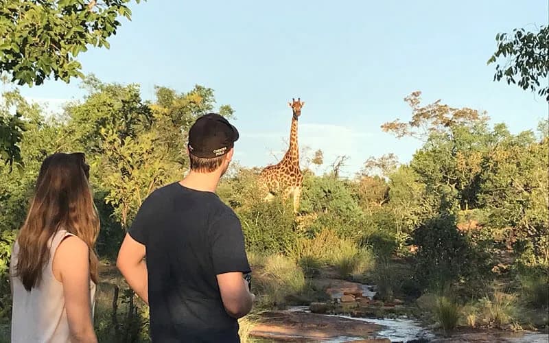 Game viewing at Magari Safari Lodge