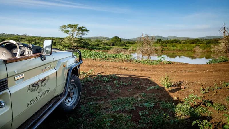 Mavela Game Lodge game drive experience