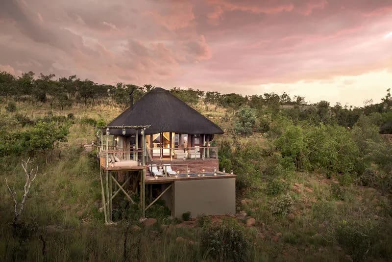 Mhondoro Safari Lodge luxury pool suite exterior