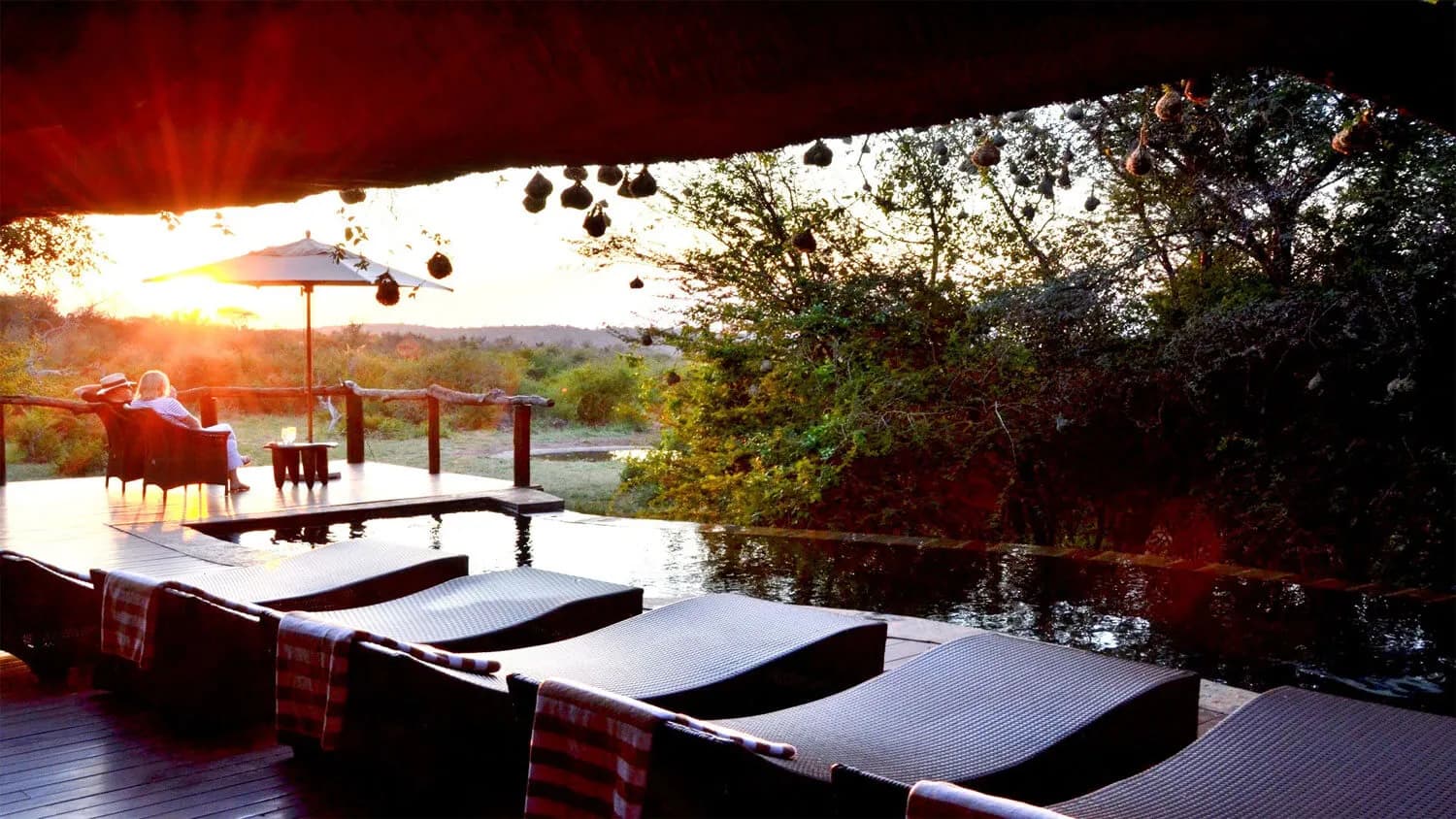 Swimming pool at Motswiri Private Safari Lodge