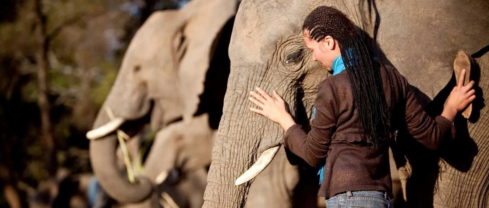 The Elephant Sanctuary Hartbeespoort exterior view