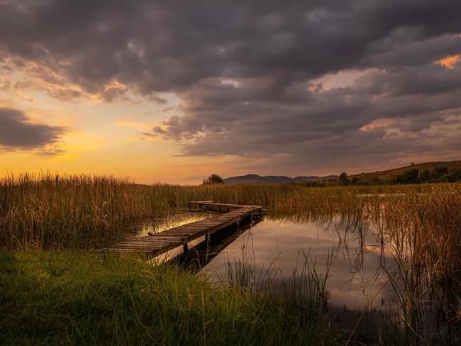 Valley Of The Rainbow Fly Fishing Estate