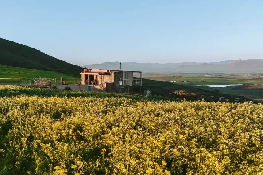 Wheat Cabin at Dassenheuwel hot tub with panoramic mountain views